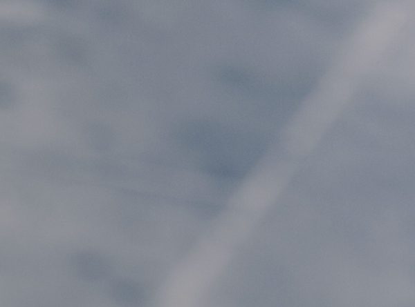 c-andrej-grilc-08556